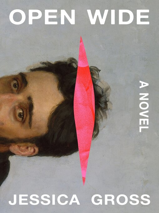 Title details for Open Wide by Jessica Gross - Available